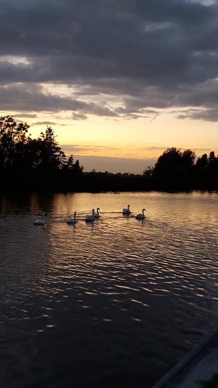 Rechthuis Van Zouteveen Bed & Breakfast 4*